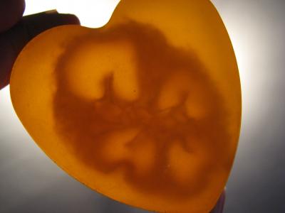 Прикрепленное изображение: 004.JPG